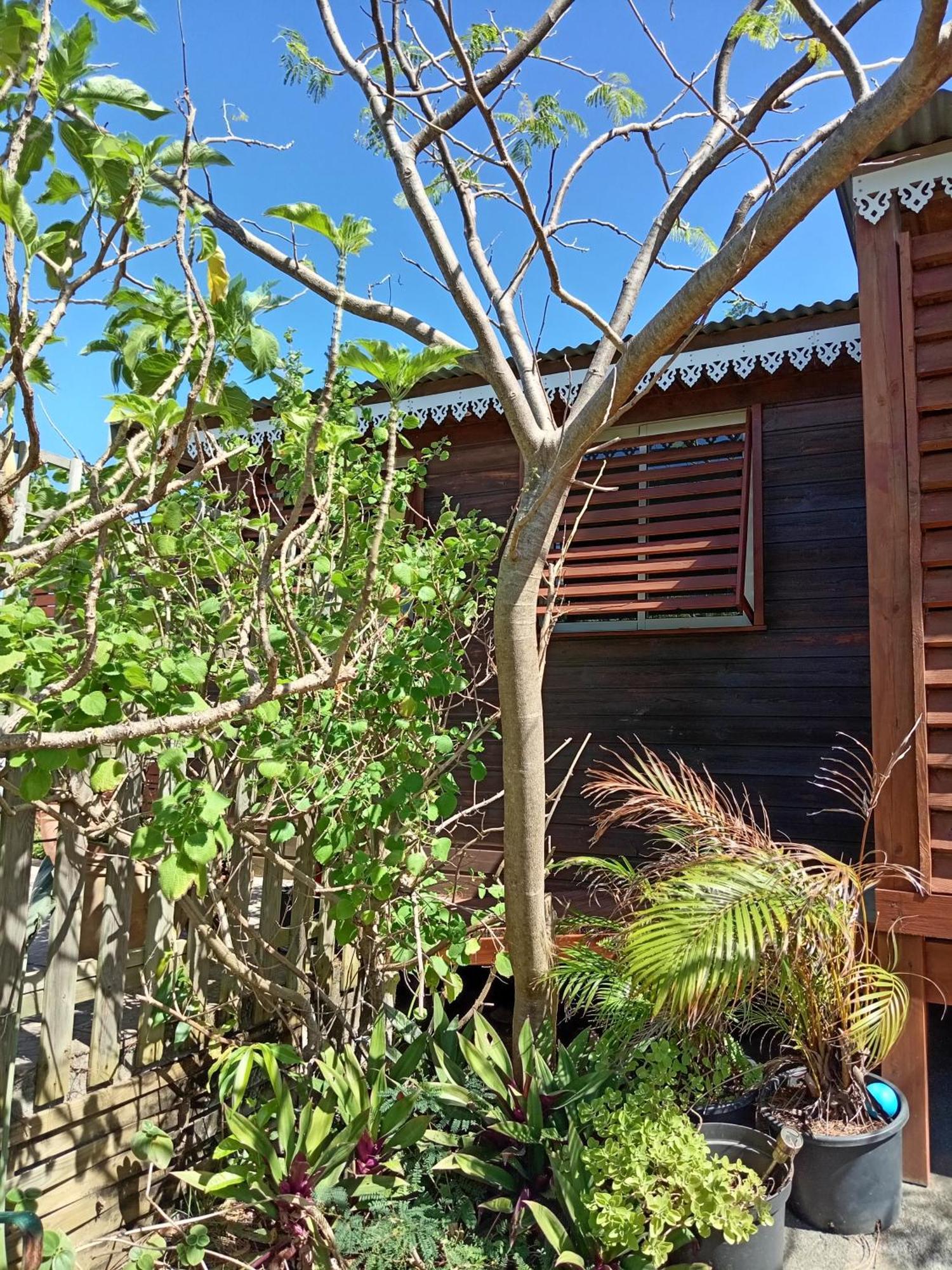 Location Bord Ocean, Holi-Wood Βίλα Saint-Joseph Εξωτερικό φωτογραφία